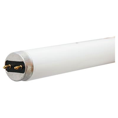 Lámpara Fluorescente T8 32 watts 4100°K